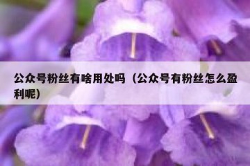 公众号粉丝有啥用处吗（公众号有粉丝怎么盈利呢）