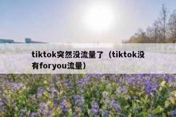 tiktok突然没流量了（tiktok没有foryou流量）