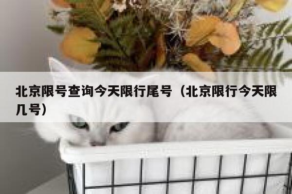北京限号查询今天限行尾号（北京限行今天限几号） 第1张