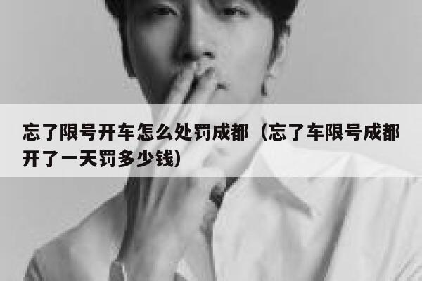 忘了限号开车怎么处罚成都（忘了车限号成都开了一天罚多少钱） 第1张