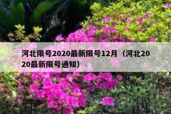 河北限号2020最新限号12月（河北2020最新限号通知） 第1张