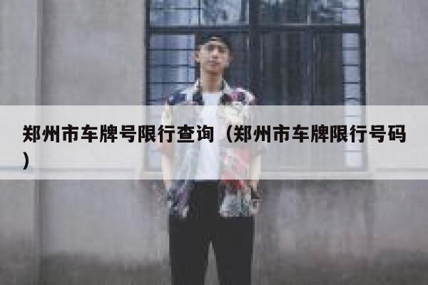 郑州市车牌号限行查询（郑州市车牌限行号码） 第1张
