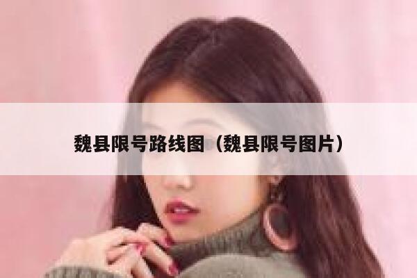 魏县限号路线图（魏县限号图片） 第1张