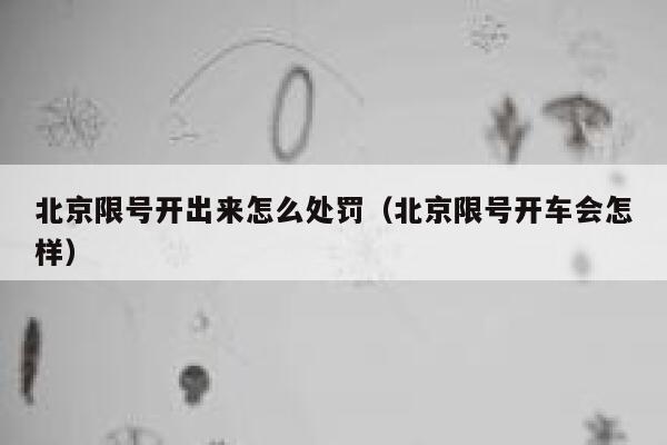 北京限号开出来怎么处罚（北京限号开车会怎样） 第1张