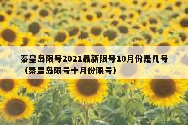 秦皇岛限号2021最新限号10月份是几号（秦皇岛限号十月份限号） 第1张