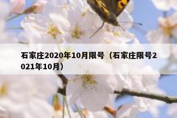 石家庄2020年10月限号（石家庄限号2021年10月） 第1张