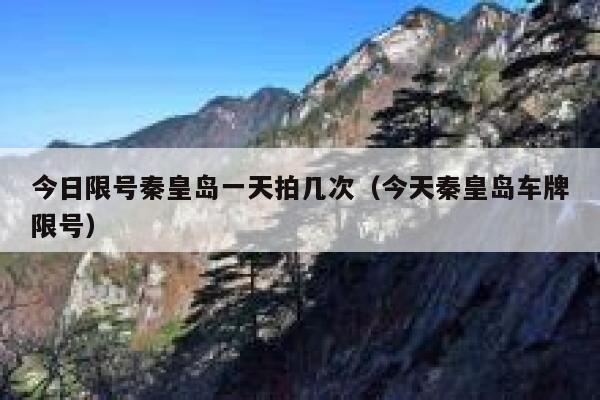 今日限号秦皇岛一天拍几次（今天秦皇岛车牌限号） 第1张