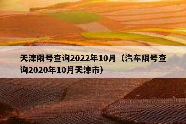 天津限号查询2022年10月（汽车限号查询2020年10月天津市） 第1张