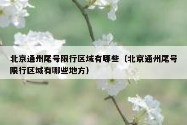 北京通州尾号限行区域有哪些（北京通州尾号限行区域有哪些地方） 第1张
