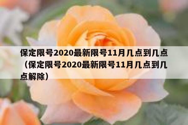 保定限号2020最新限号11月几点到几点（保定限号2020最新限号11月几点到几点解除） 第1张