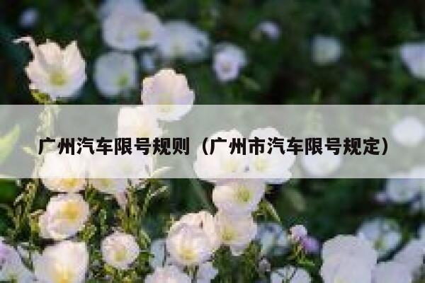 广州汽车限号规则（广州市汽车限号规定） 第1张