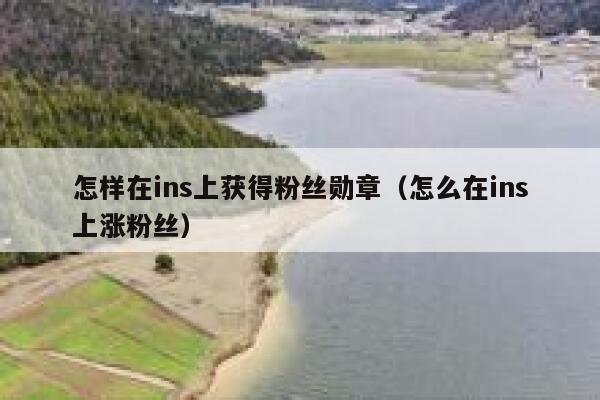 怎样在ins上获得粉丝勋章（怎么在ins上涨粉丝） 第1张