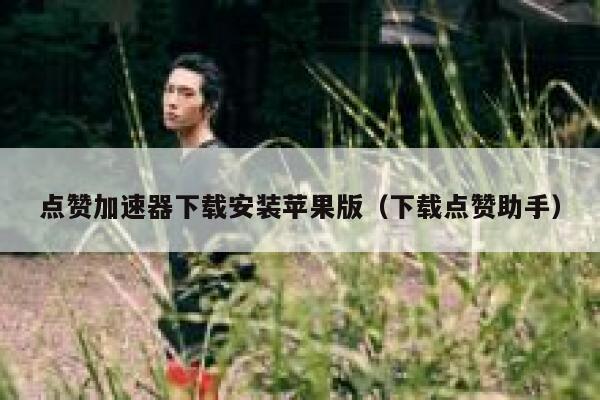 点赞加速器下载安装苹果版（下载点赞助手） 第1张