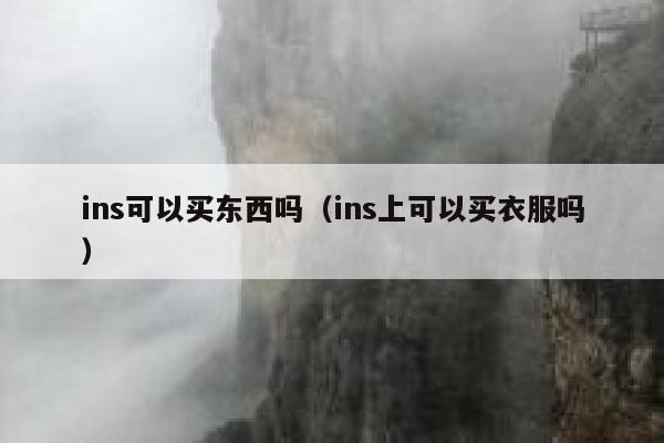 ins可以买东西吗（ins上可以买衣服吗） 第1张