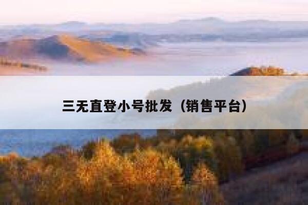 三无直登小号批发（销售平台） 第1张