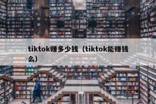 tiktok赚多少钱（tiktok能赚钱么） 第1张