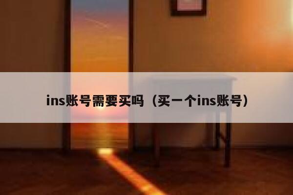 ins账号需要买吗（买一个ins账号） 第1张