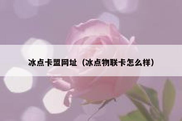 冰点卡盟网址（冰点物联卡怎么样） 第1张