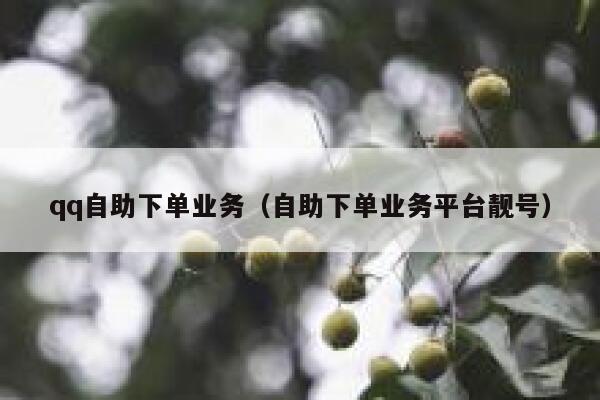 qq自助下单业务(自助下单业务平台靓号) 第1张 qq自助下单业务(自助下单业务平台靓号) 第1张