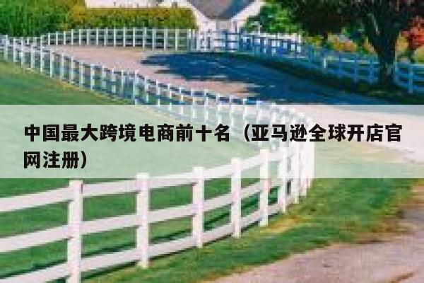中国最大跨境电商前十名（亚马逊全球开店官网注册） 第1张