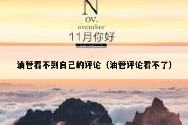 油管看不到自己的评论（油管评论看不了） 第1张