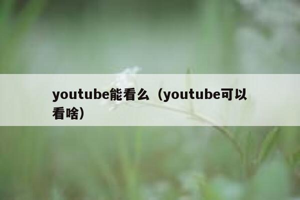 youtube能看么（youtube可以看啥） 第1张