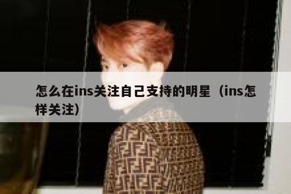 怎么在ins关注自己支持的明星（ins怎样关注） 第1张