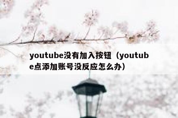 youtube没有加入按钮（youtube点添加账号没反应怎么办） 第1张