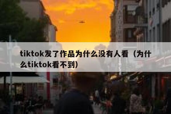 tiktok发了作品为什么没有人看（为什么tiktok看不到） 第1张