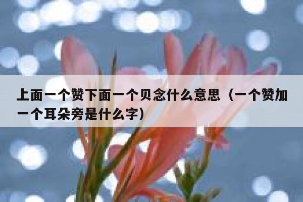 上面一个赞下面一个贝念什么意思（一个赞加一个耳朵旁是什么字） 第1张