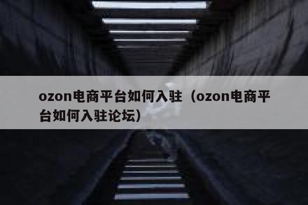 ozon电商平台如何入驻（ozon电商平台如何入驻论坛） 第1张