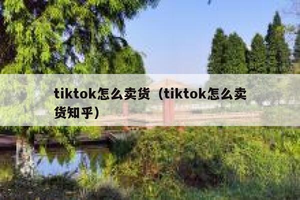 tiktok怎么卖货（tiktok怎么卖货知乎） 第1张