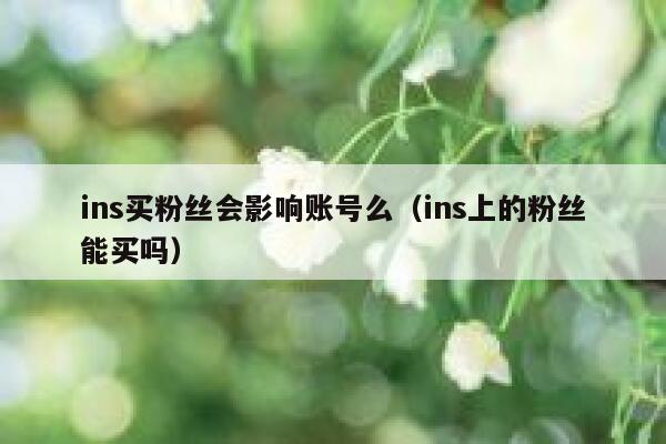 ins买粉丝会影响账号么（ins上的粉丝能买吗） 第1张