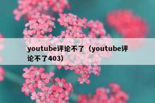 youtube评论不了（youtube评论不了403） 第1张
