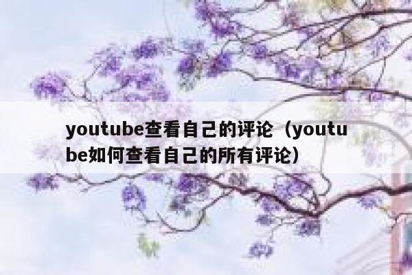 youtube查看自己的评论（youtube如何查看自己的所有评论） 第1张