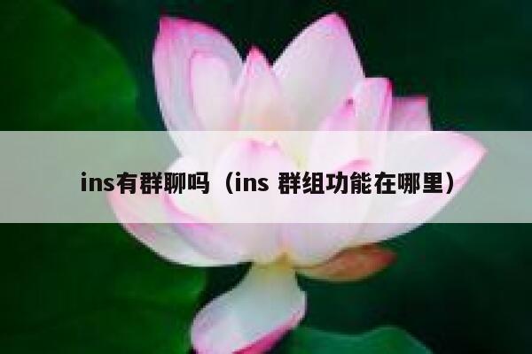 ins有群聊吗(ins 群组功能在哪里) 第1张 ins有群聊吗(ins 群组功能在哪里) 第1张
