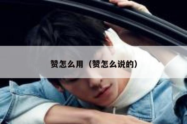 赞怎么用(赞怎么说的) 第1张 赞怎么用(赞怎么说的) 第1张