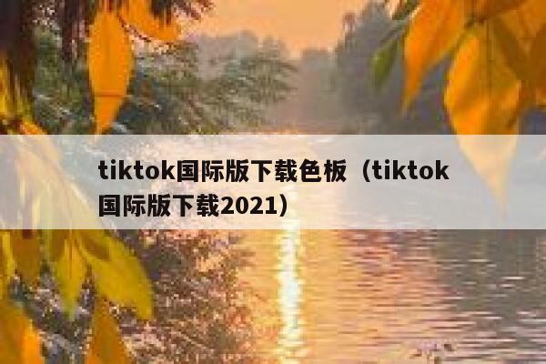 tiktok国际版下载色板（tiktok国际版下载2021） 第1张