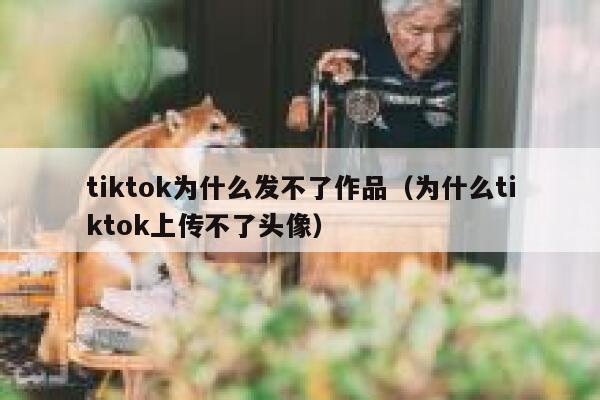 tiktok为什么发不了作品（为什么tiktok上传不了头像） 第1张