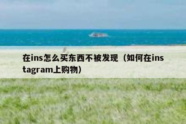 在ins怎么买东西不被发现(如何在instagram上购物) 第1张 在ins怎么买东西不被发现(如何在instagram上购物) 第1张