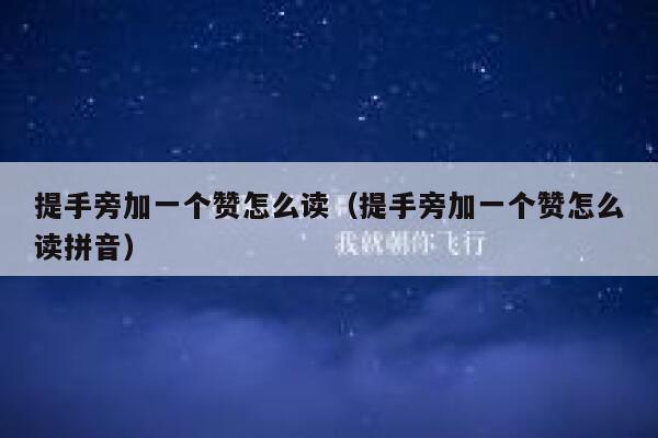 提手旁加一个赞怎么读（提手旁加一个赞怎么读拼音） 第1张