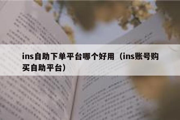ins自助下单平台哪个好用(ins账号购买自助平台) 第1张 ins自助下单平台哪个好用(ins账号购买自助平台) 第1张