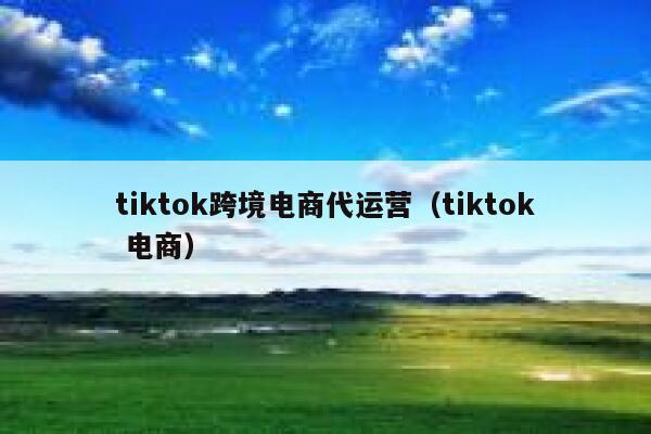 tiktok跨境电商代运营（tiktok 电商） 第1张