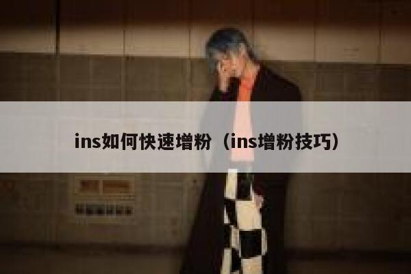 ins如何快速增粉(ins增粉技巧) 第1张 ins如何快速增粉(ins增粉技巧) 第1张