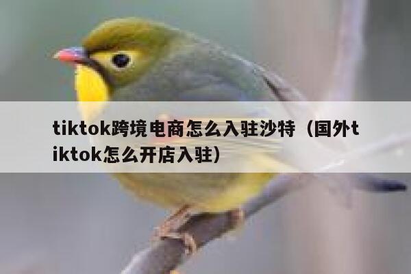 tiktok跨境电商怎么入驻沙特（国外tiktok怎么开店入驻） 第1张