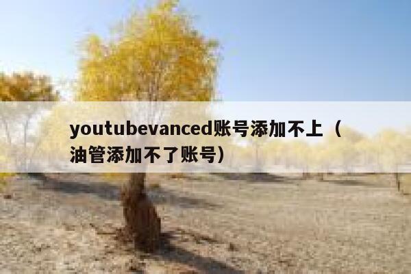 youtubevanced账号添加不上（油管添加不了账号） 第1张