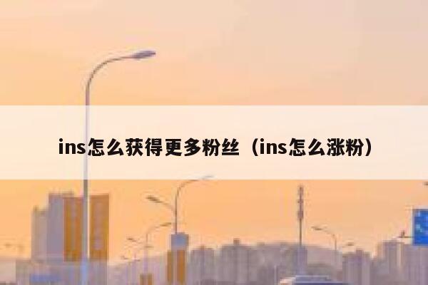 ins怎么获得更多粉丝（ins怎么涨粉） 第1张