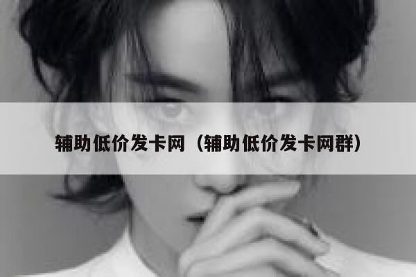 辅助低价发卡网（辅助低价发卡网群） 第1张