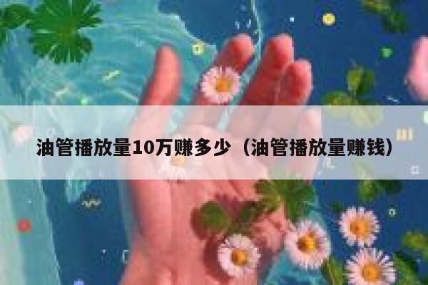 油管播放量10万赚多少（油管播放量赚钱） 第1张