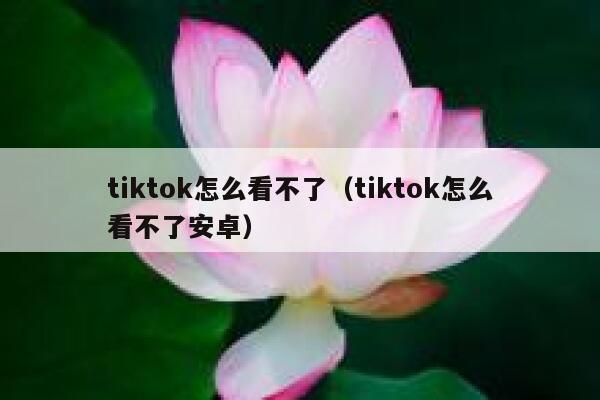 tiktok怎么看不了（tiktok怎么看不了安卓） 第1张